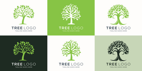 vector tree logo collections, perfect for company logo or branding. Botanic plant nature symbols. Tree branch with leaves signs. Natural design elements emblem collection.