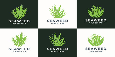 set of abstract seaweed logo design inspiration. sea corals and seaweed green collection vector illustration. - obrazy, fototapety, plakaty