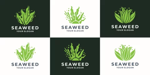 Fotobehang set of abstract seaweed logo design inspiration. sea corals and seaweed green collection vector illustration. © ulhaq_std
