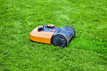 An orange-colored robotic lawn mower mows a green grass lawn