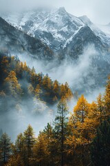 a mountain with fog and trees