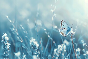 Fragile pastel coloured butterfly on a light background with shadows. Aesthetic nature concept. Generative AI. Beautiful simple AI generated image in 4K, unique.