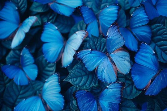 A whimsical flat lay of butterfly wings and small blossoms symbolizing transformation and renewal.. Beautiful simple AI generated image in 4K, unique.