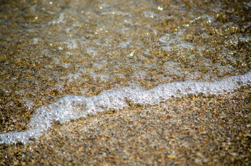 Fototapeta na wymiar Shell, Water, And Sand on the beach