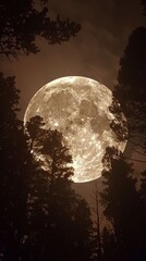 Full Moon Peeking Through Trees