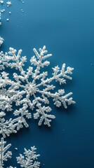 Floating Snowflake in the Air