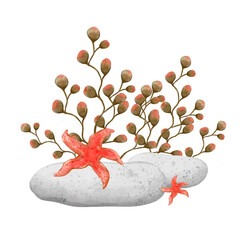 Sea pebble with seaweed bush and star fish. Watercolor hand drawn illustration, isolated on white background. Print for cards or textile design. Coral reef and underwater life