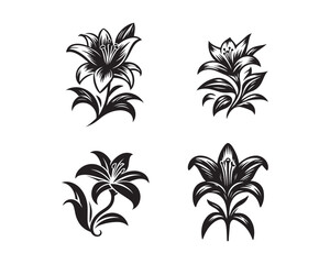 Fototapeta na wymiar lily flowers silhouette vector icon graphic logo design