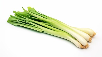 Fresh leek vegetable isolated on white background.