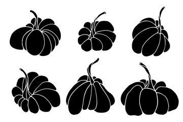 Set of botanical silhouettes of autumn pumpkins.Vector graphics.
