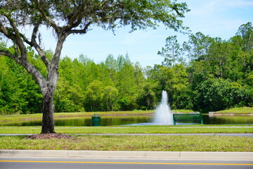 Spring tree and road in Florida

