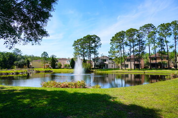 Spring tree and road in Florida
