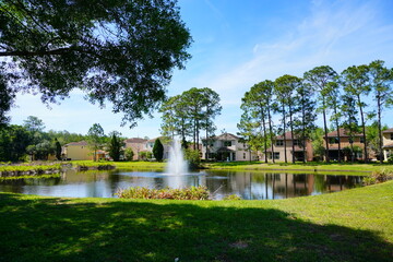 Beautiful Florida Landscape in spring	
