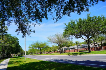 Obraz premium Spring tree and road in Florida 