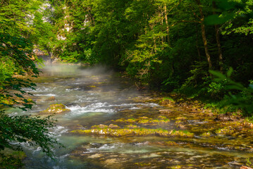 Obraz premium Vintgar gorge during a summer morning in Slovenia
