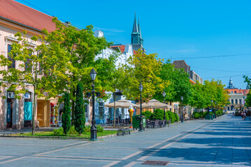Obraz premium Street in the center of Serbian town Sombor