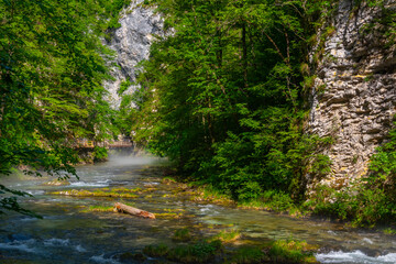 Obraz premium Vintgar gorge during a summer morning in Slovenia