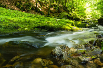 The creek Buchberger Leite in the Bavarian Forest