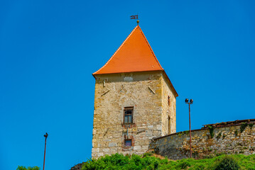 View of Ptuj castle in Slovenia