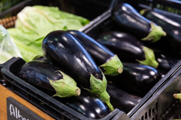 Close up of ripe eggplants in plastic boxes