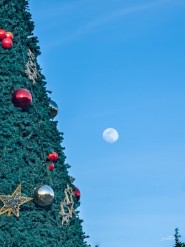 Full moon at Christmas 