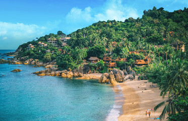 Panoramic view of tropical beach with coconut palm trees. Koh Samui, Thailand - 780099743