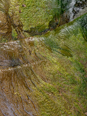 Verschmutztes Wasser fliesst aus einem See 
