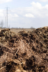 a heap of organic manure in the field