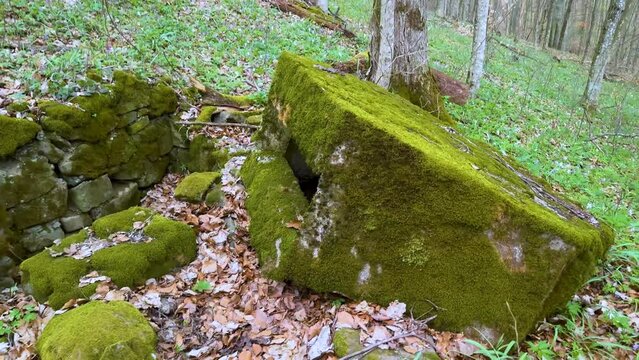 2 World War Arpad Line in the Carpathians -Hungary, now Ukraine. In the beech forest of Transcarpathia, old trenches and dugouts, reinforced concrete hexagonal small pillboxes with an embra