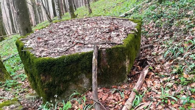 2 World War Arpad Line in the Carpathians -Hungary, now Ukraine. In the beech forest of Transcarpathia, old trenches and dugouts, reinforced concrete hexagonal small pillboxes with an embra