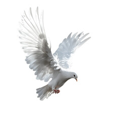 dove isolated on transparent background