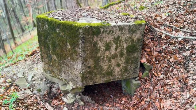 2 World War Arpad Line in the Carpathians -Hungary, now Ukraine. In the beech forest of Transcarpathia, old trenches and dugouts, reinforced concrete hexagonal small pillboxes with an embra