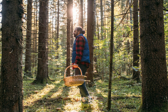 A mushroom picker man walks through the forest with a basket.