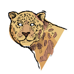 Onça-pintada, pantanal, animal silvestre, guepardo, tigre, jaguar