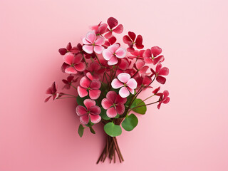 Captured from above, a vertical display of red clovers on a pink surface, with space for text