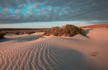 Wandcirkels aluminium Grass in desert © Galyna Andrushko