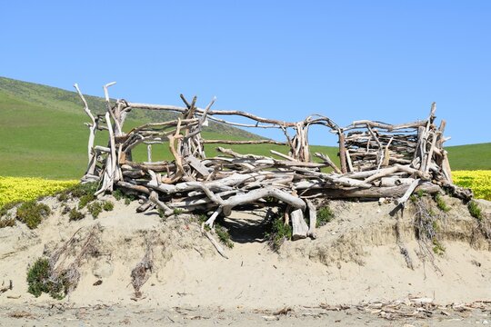 Driftwood Structure at Morro Bay