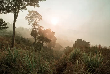 Selbstklebende Fototapeten Mountains in Honduras © Galyna Andrushko