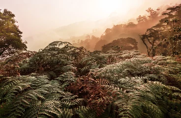 Fotobehang Mountains in Honduras © Galyna Andrushko