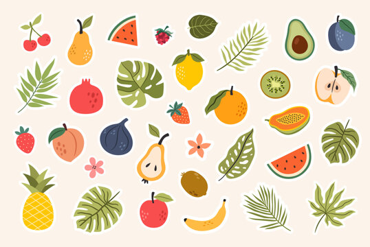 Summer sticker set with tropical leaves, plants and fruits