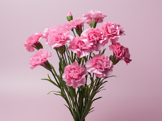 Pink carnations arranged vertically on white and pink background, offering copy space