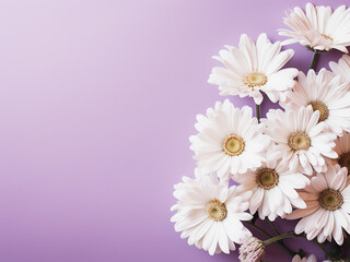 Vintage tone highlights white daisy flowers against violet wall with selective focus