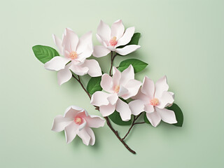 Top view of pastel pink surface adorned with white magnolia blooms and lush green leaves