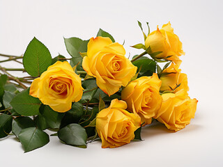 Yellow roses and green leaves presented elegantly on white backdrop