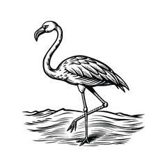 Obraz premium black flamingo isolated on white background