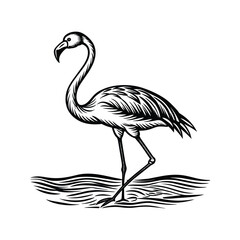black flamingo isolated on white background