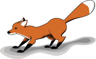 Fox Stands Looking to the Left