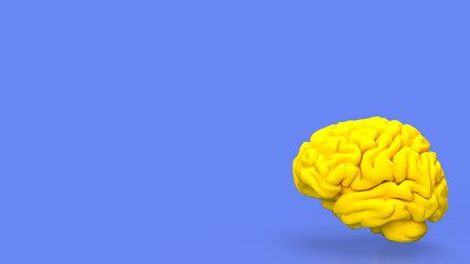 The yellow Brain for sci or education concept 3d rendering. - obrazy, fototapety, plakaty
