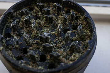 Dried Marijuana Flower in a Grinder
