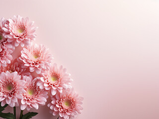 Trending minimalist horizontal banner with pink chrysanthemums
